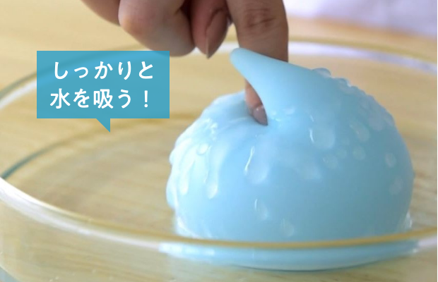 しっかりと水を吸う！